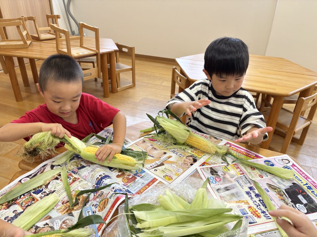 保育園でとうもろこしの皮剥き 食育 大阪 くじら保育園 202608-1