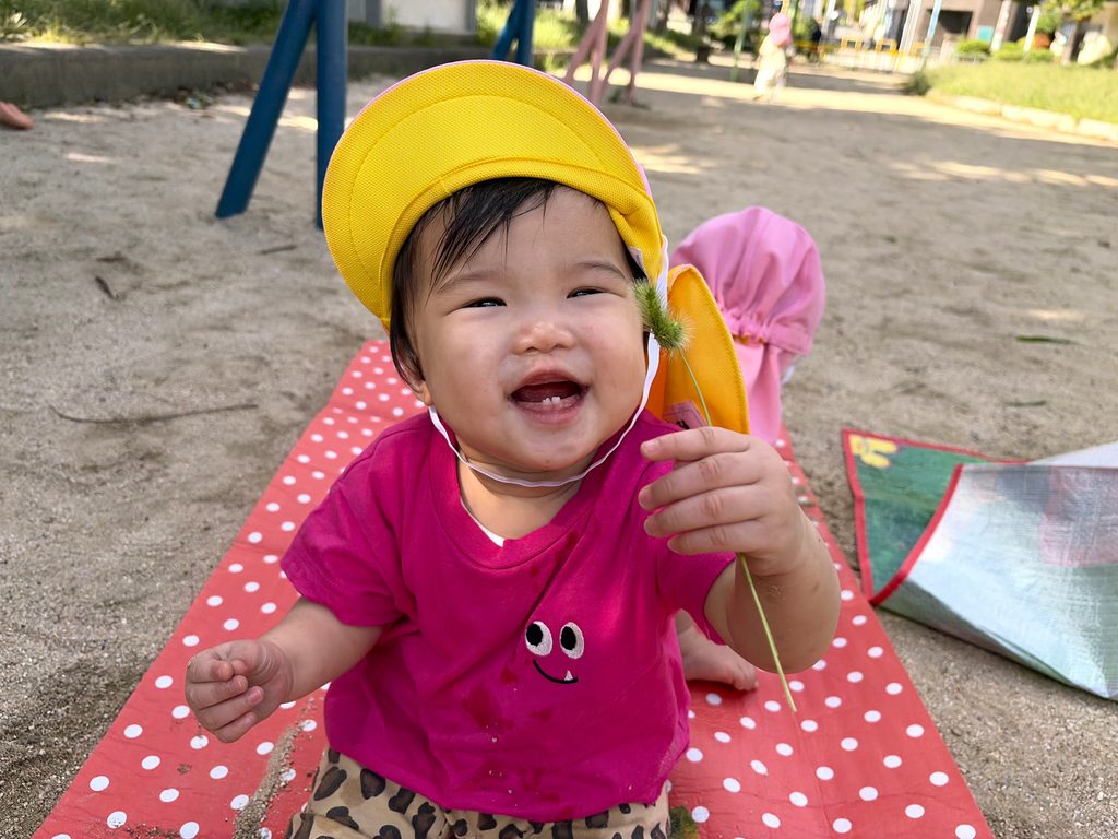 秋の自然に夢中 大阪　保育園　くじら保育園　202610-2