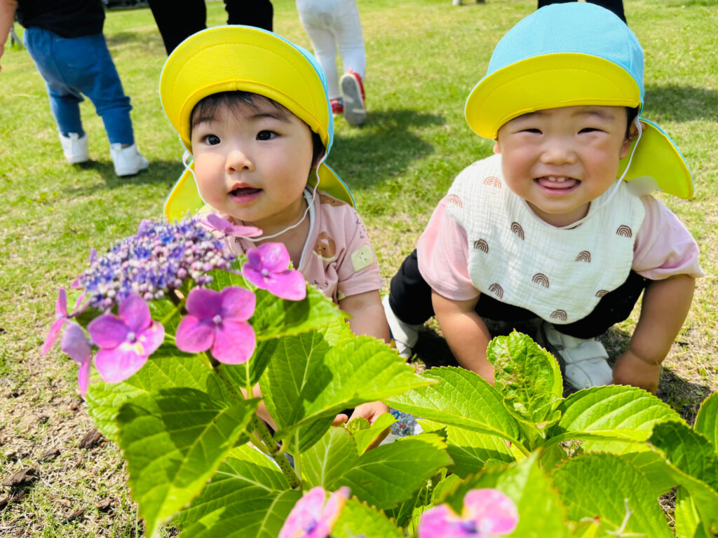 あじさい　大和大学　お散歩　梅雨　０歳児　くじら保育園　豊津東　202506-4