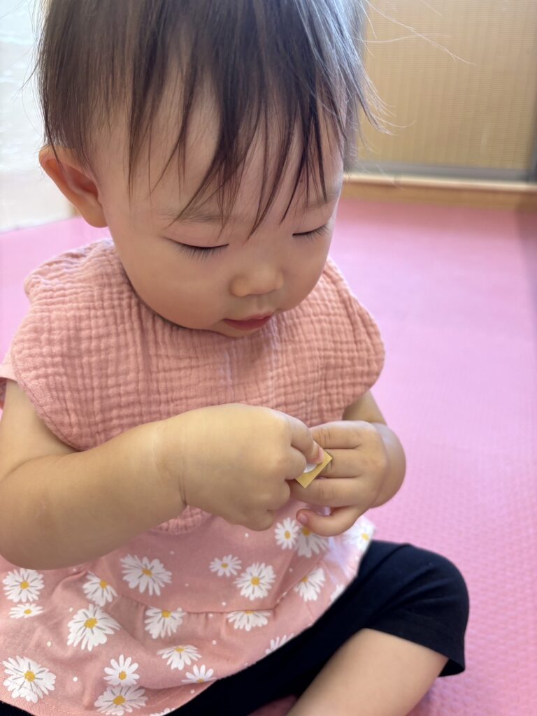 9月　壁面　製作　秋　乳児　大阪　保育園　くじら保育園　豊津東園　吹田市　202509-4