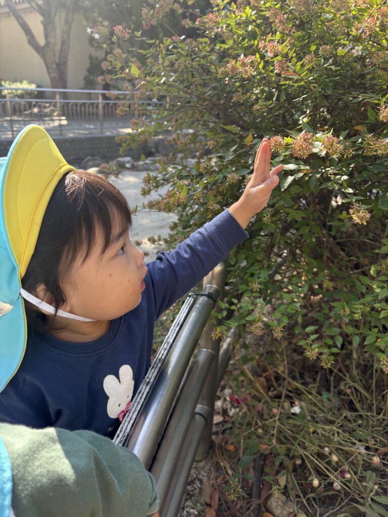 大阪 吹田 保育園 くじら保育園 秋のお散歩 202510-5