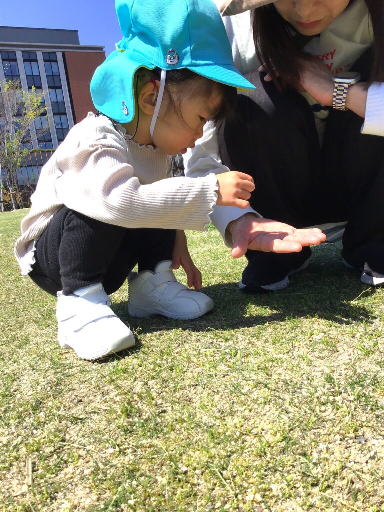 大和大学に春のお散歩　大阪　保育園　くじら保育園　202604-3