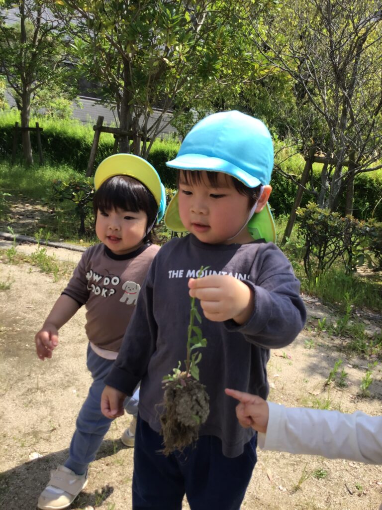 異年齢交流保育　大阪　保育園　くじら保育園　202605-4