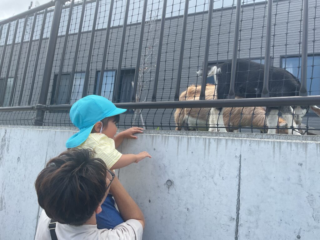 保育参観　大阪　保育園　くじら保育園　202606-3