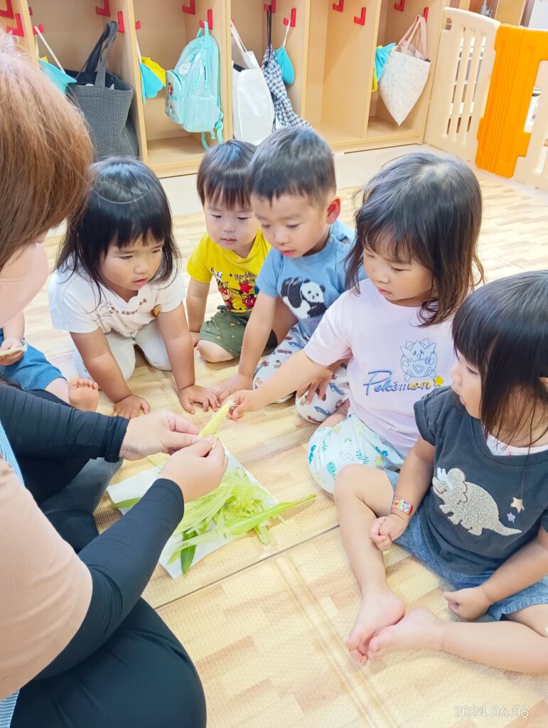 おおぞら保育園　魚住園　食育　取り組み　202411-11