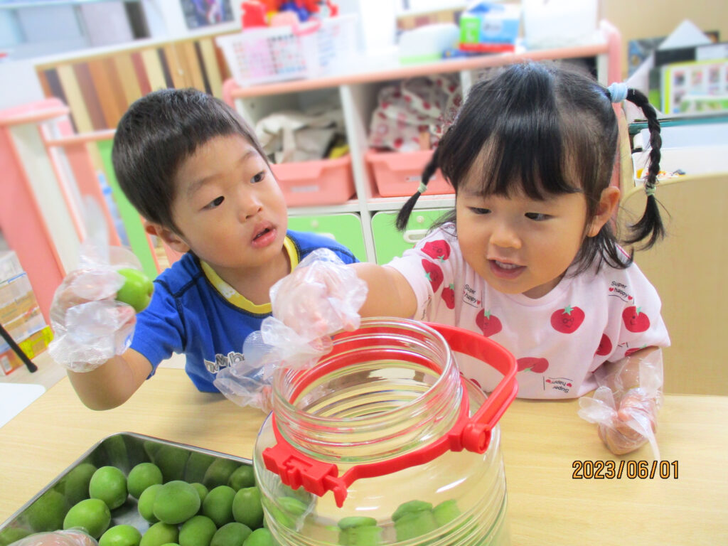 おおぞら保育園　魚住園　食育　取り組み　202411-6