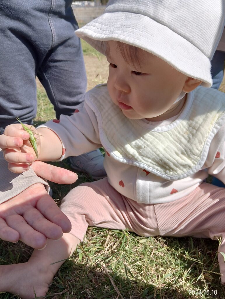 おおぞら保育園　魚住園　自然とのふれあい　7