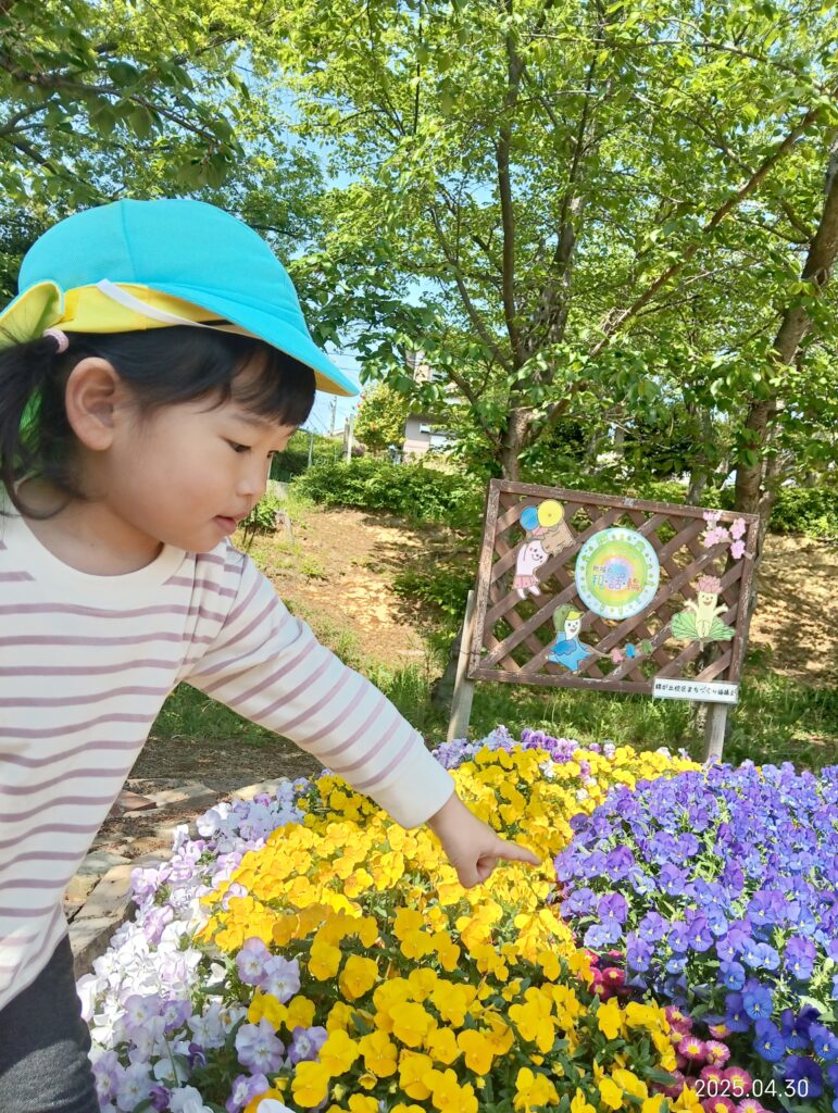 おおぞら保育園 魚住 明石保育園 公園 春みつけ 自然 202505-2