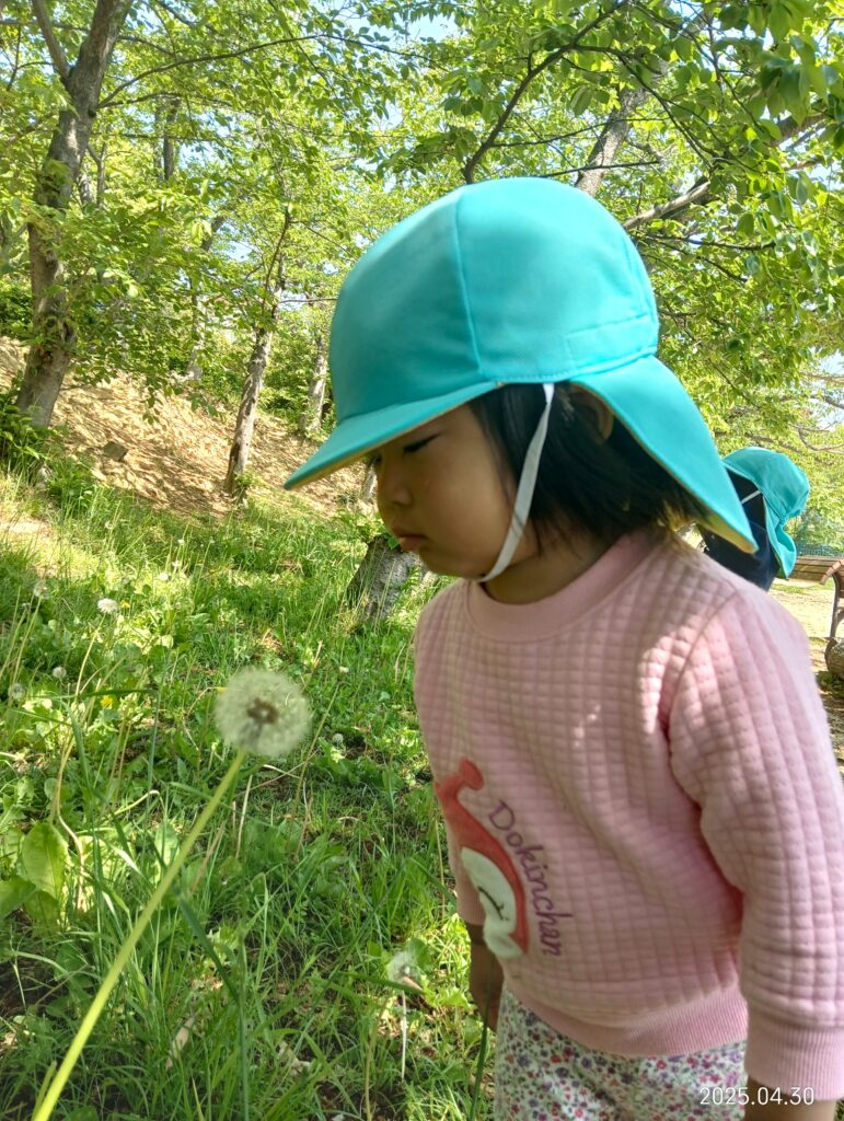 おおぞら保育園 魚住 明石保育園 公園 春みつけ 自然 202505-3