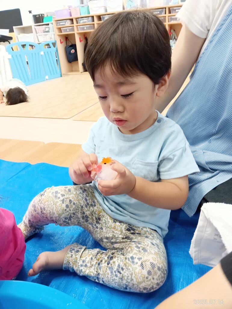 氷 感触遊び 夏 おもちゃ ひんやり 五感 おおぞら保育園 明石 保育園 魚住 202507-3