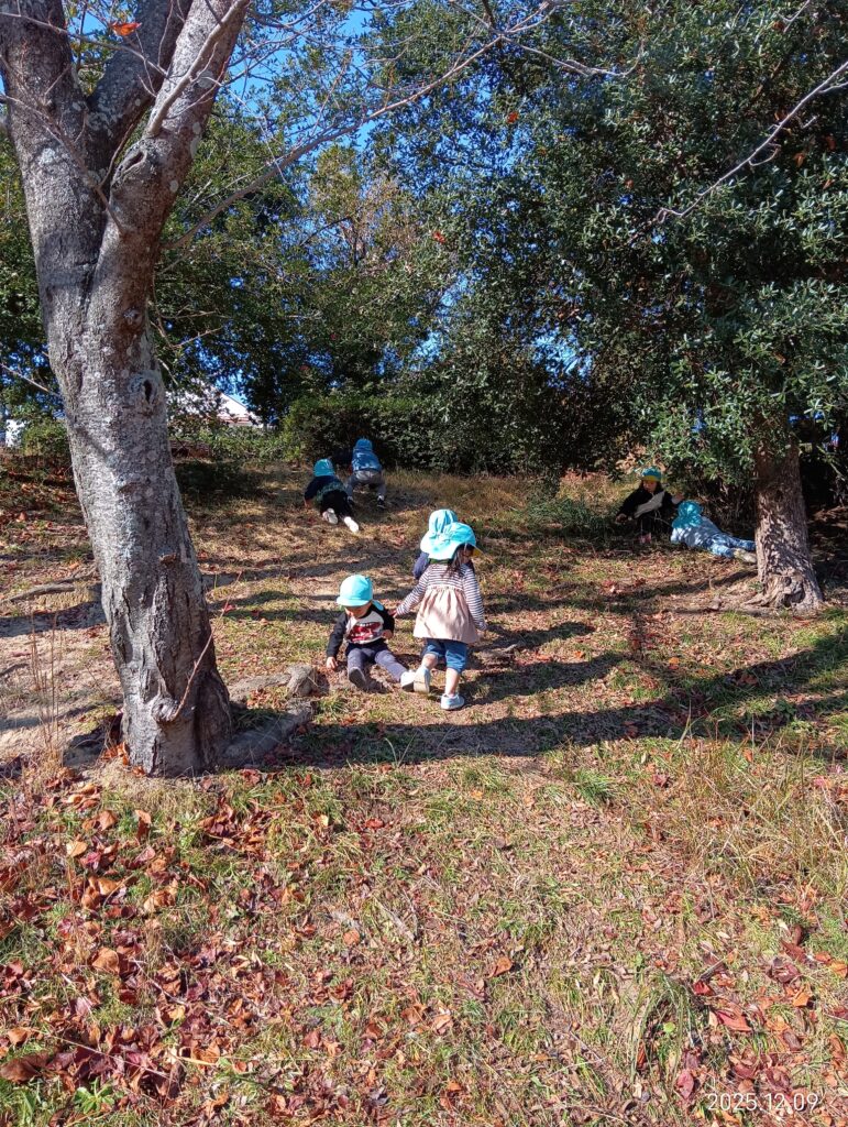 斜面登り 明石 保育園 おおぞら保育園 202512-2