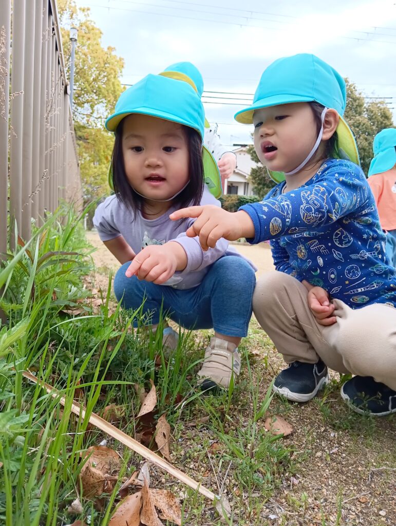 慣らし保育で自園調理給食　明石　保育園　おおぞら保育園　202604-2