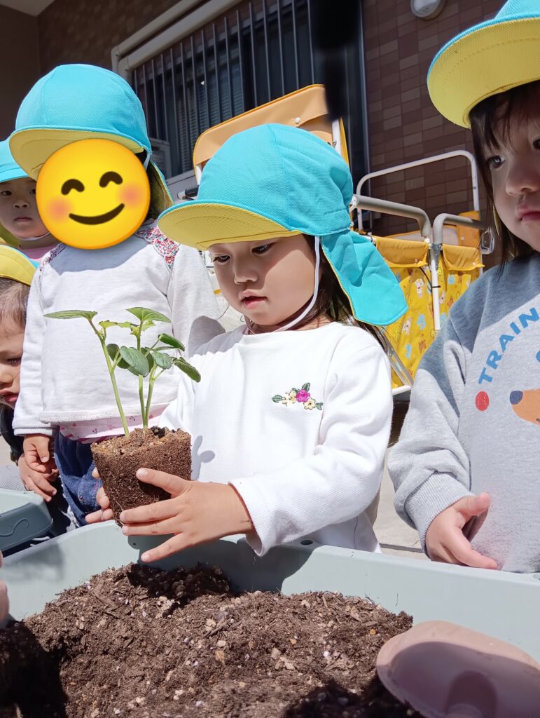 夏野菜を育てる子どもたち　明石　保育園　おおぞら保育園　202605-2