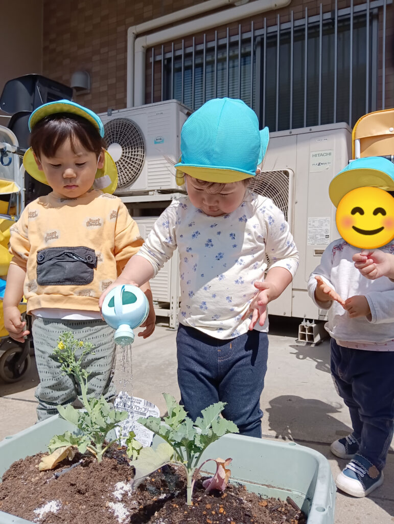 夏野菜を育てる子どもたち　明石　保育園　おおぞら保育園　202605-3