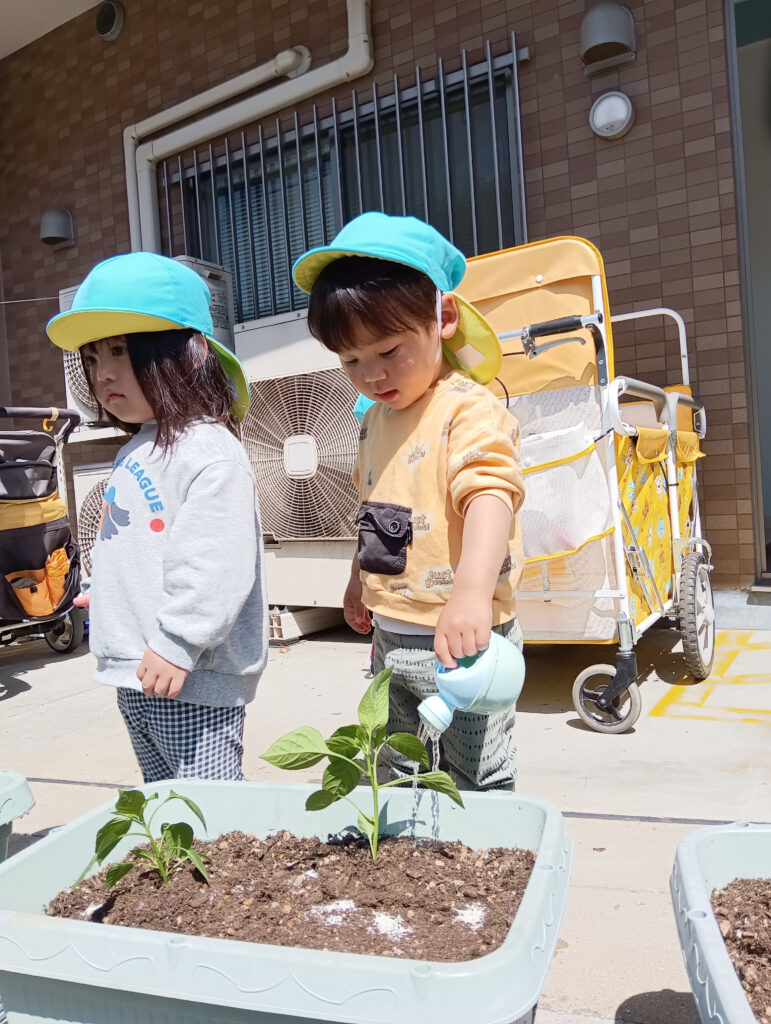 夏野菜を育てる子どもたち　明石　保育園　おおぞら保育園　202605-4
