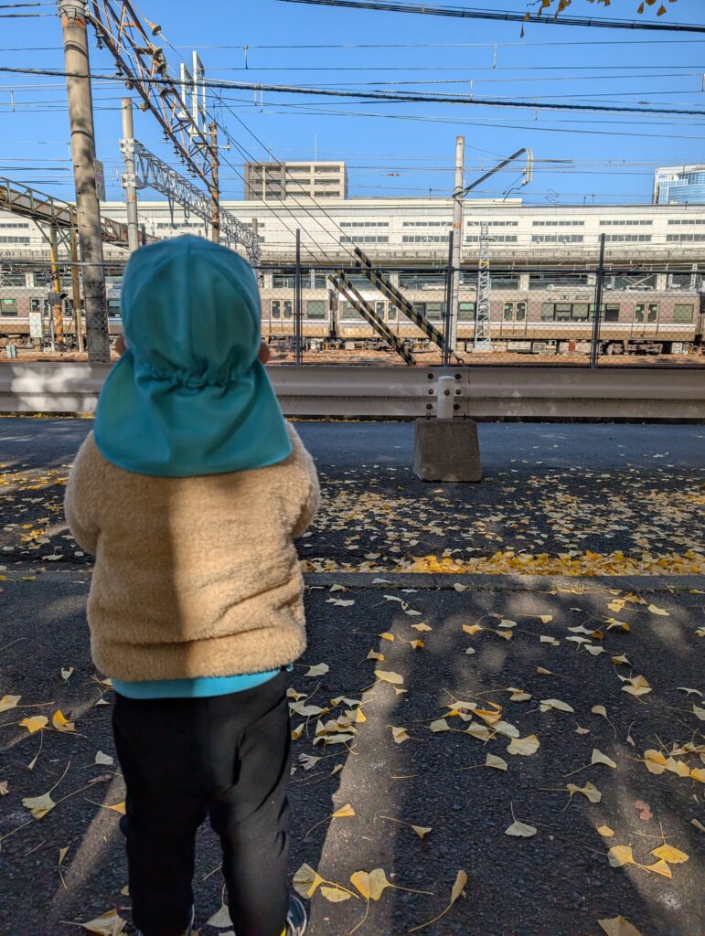 くじら保育園　淀川園　戸外遊び　202412-11