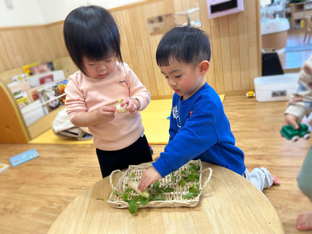 くじら保育園　淀川園　七草の日　202501-1