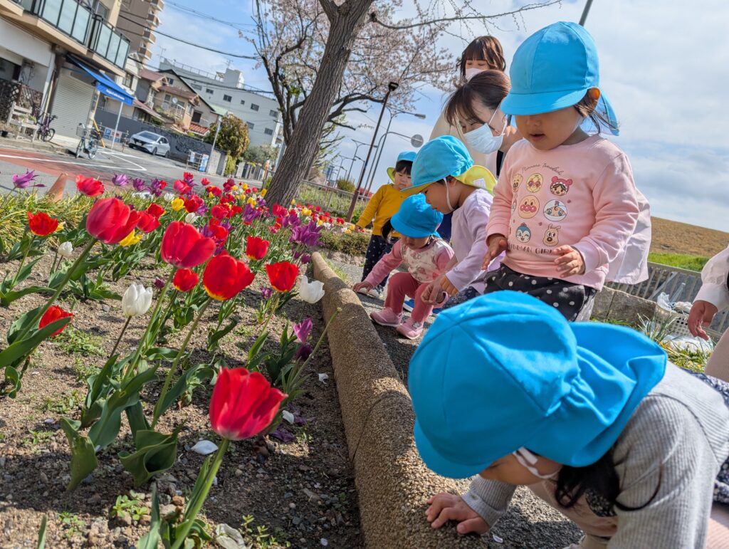 くじら保育園 淀川園 春 春探し チューリップ 五感 202504-1