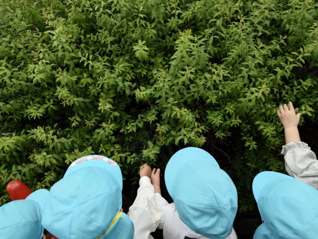 異年齢保育 異年齢交流 小規模 小規模保育園 戸外遊び 社会性 協調性 くじら保育園 淀川園 淀川区 202505-1