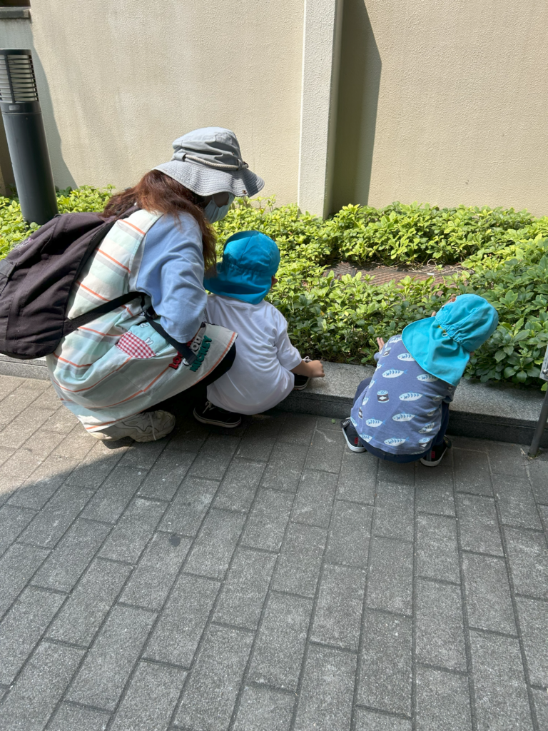 土曜保育 土曜日保育 区役所 虫探し くじら保育園 淀川園 淀川区 202507-3
