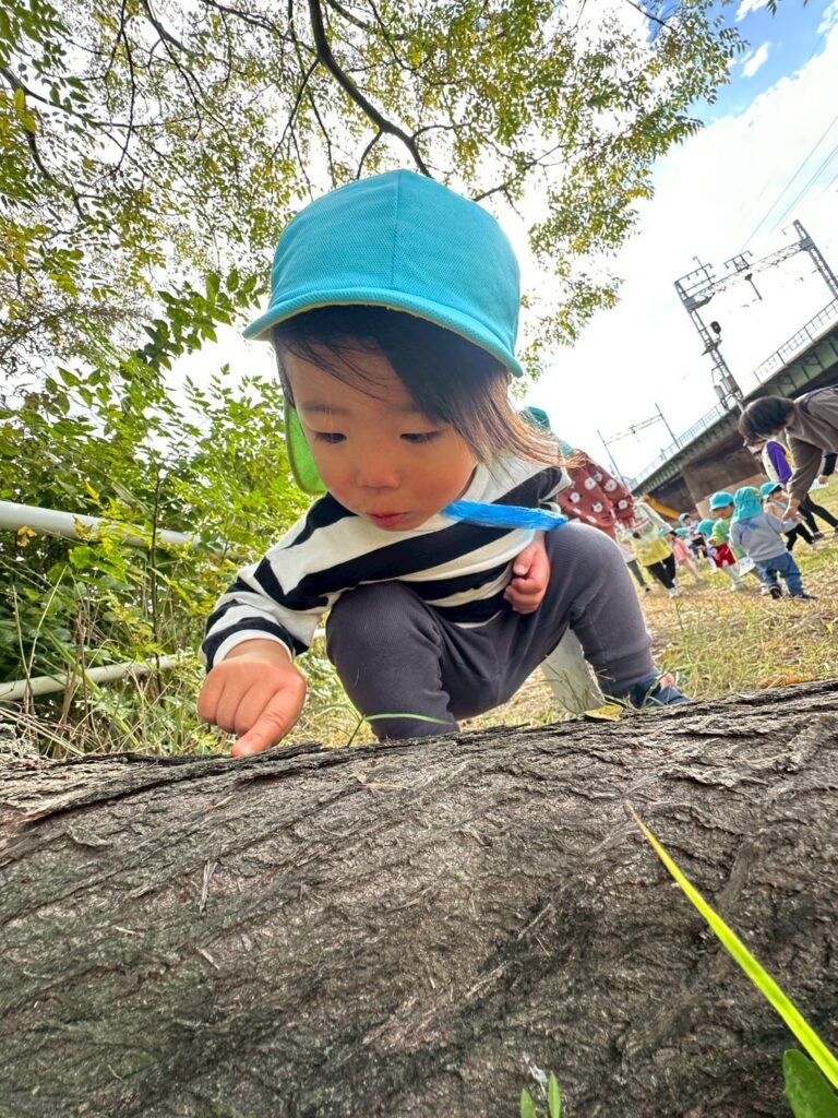 フィールドビンゴ　大阪　保育園　くじら保育園　202511-1