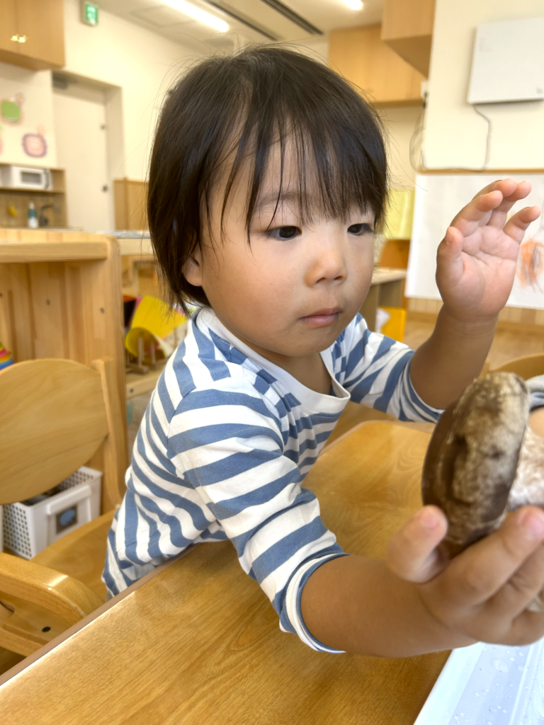 食育　椎茸栽培　大阪　保育園　くじら保育園　202512-6