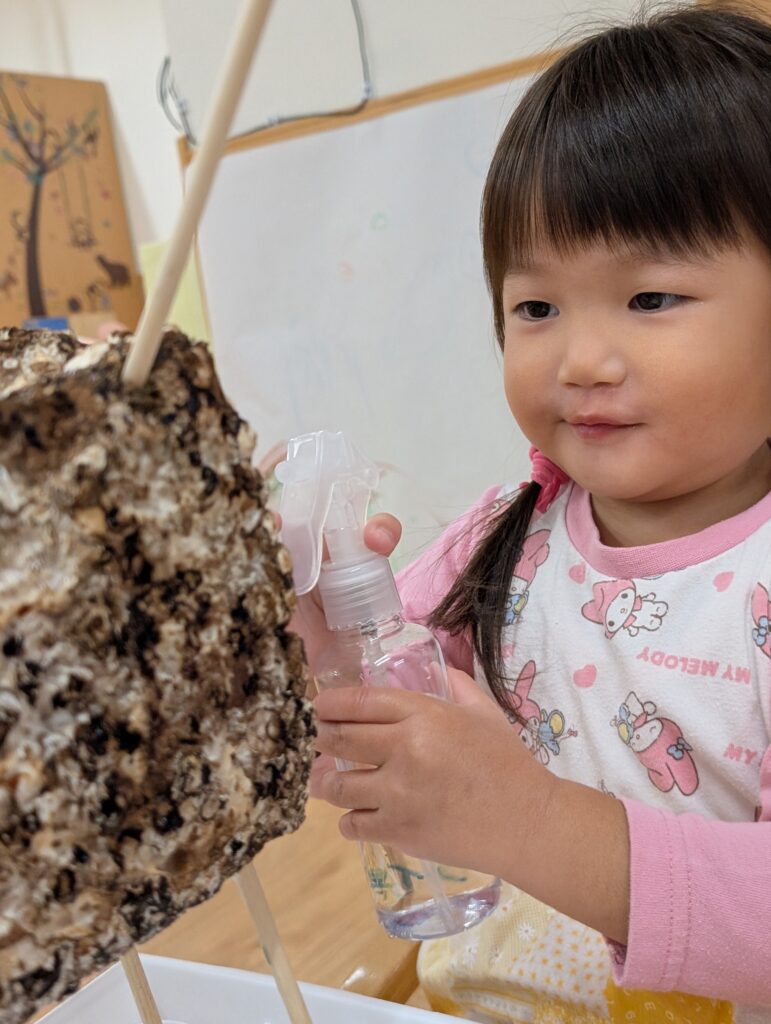 食育　椎茸栽培　大阪　保育園　くじら保育園　202512-2