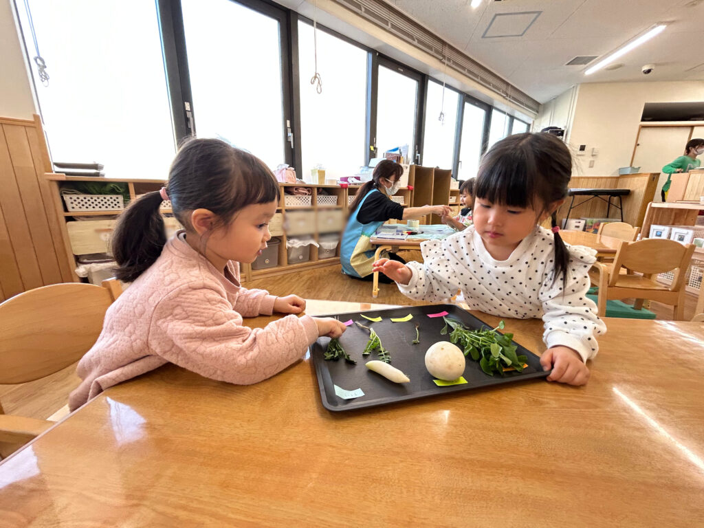七草おにぎり　大阪　保育園　食育　くじら保育園　202601-3