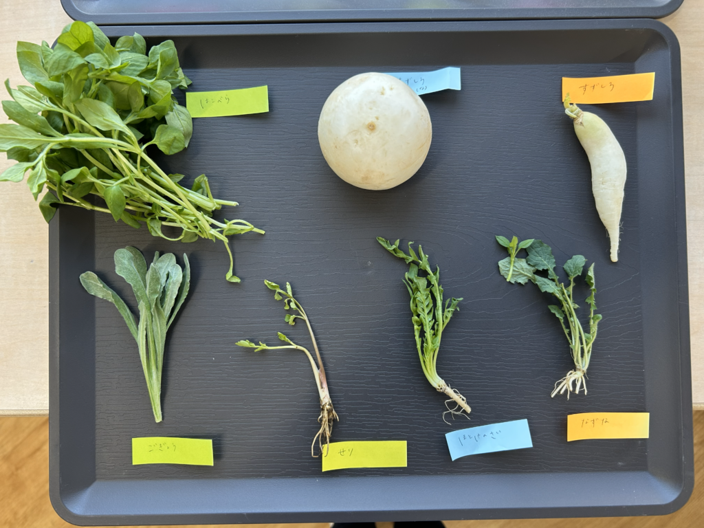 七草おにぎり　大阪　保育園　食育　くじら保育園　202601-1