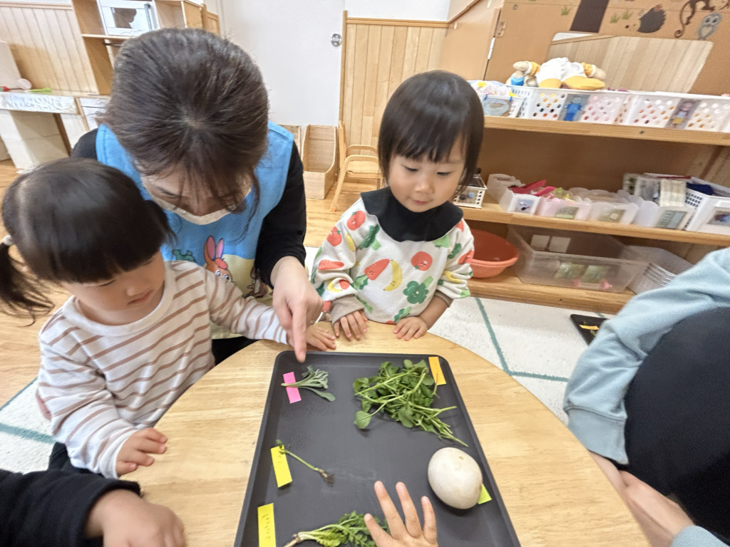 七草おにぎり　大阪　保育園　食育　くじら保育園　202601-5