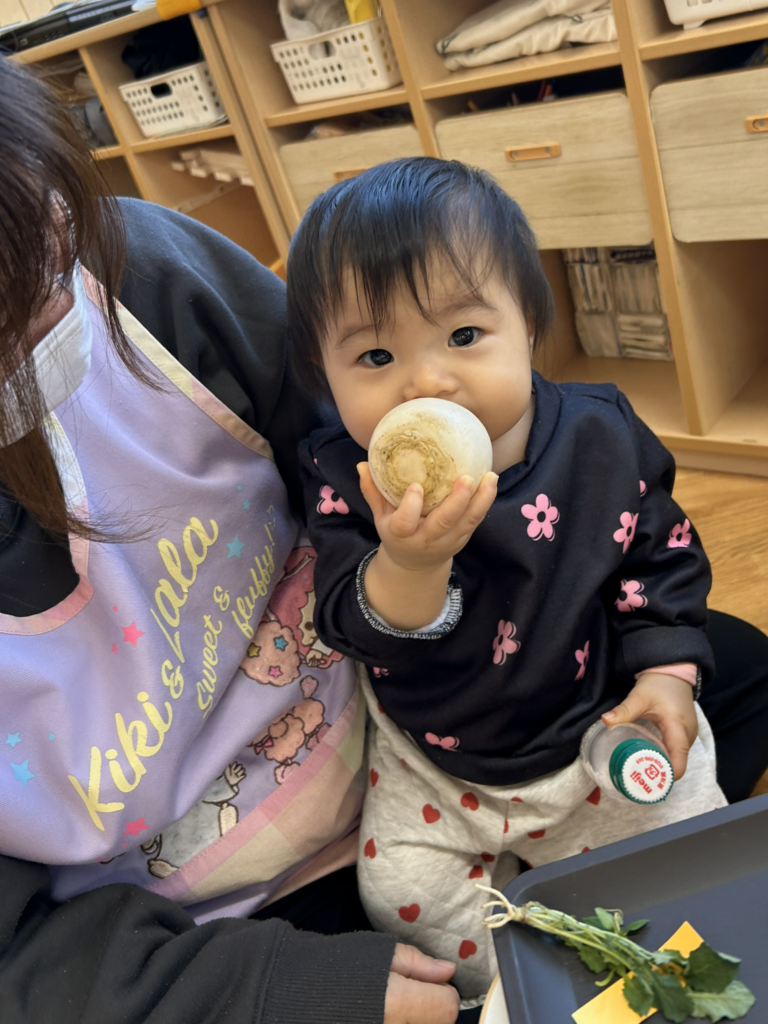 七草おにぎり　大阪　保育園　食育　くじら保育園　202601-4