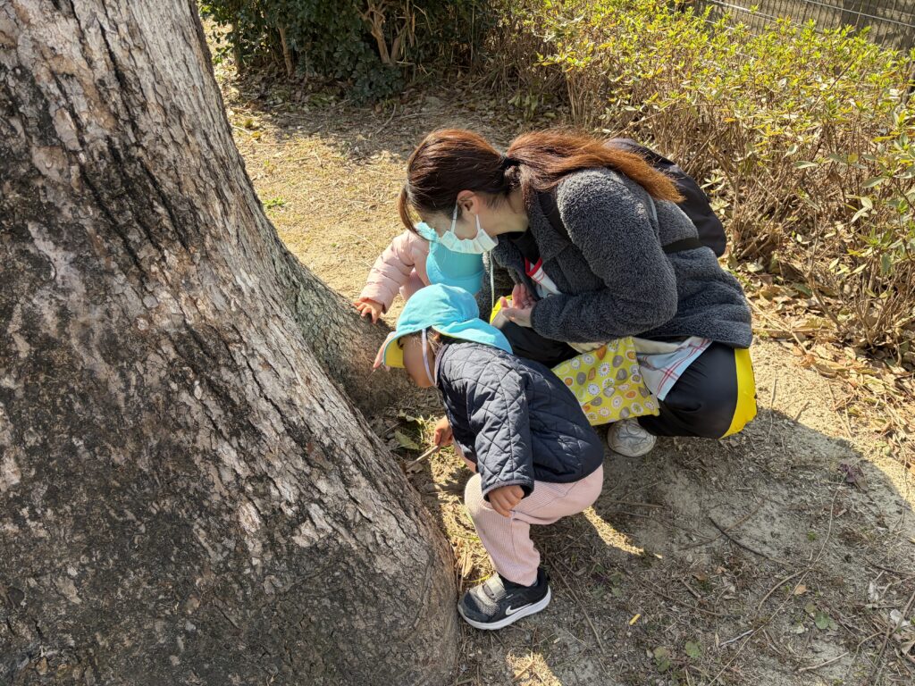 異年齢保育　大阪　保育園　くじら保育園　202603-3