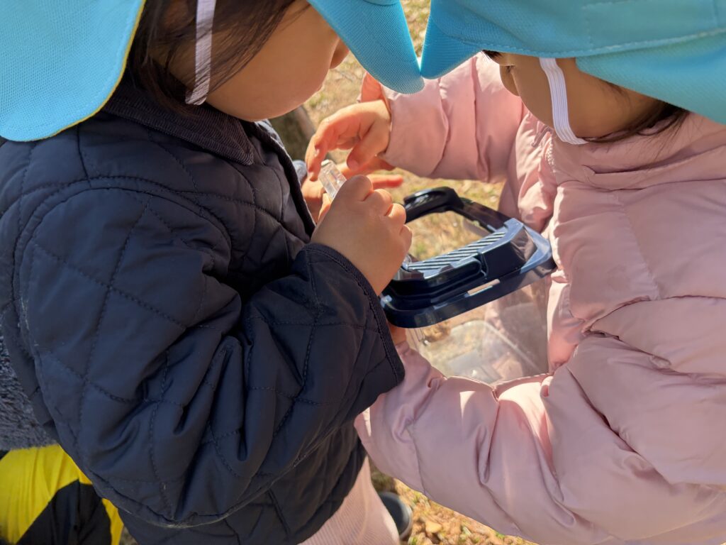 異年齢保育　大阪　保育園　くじら保育園　202603-4