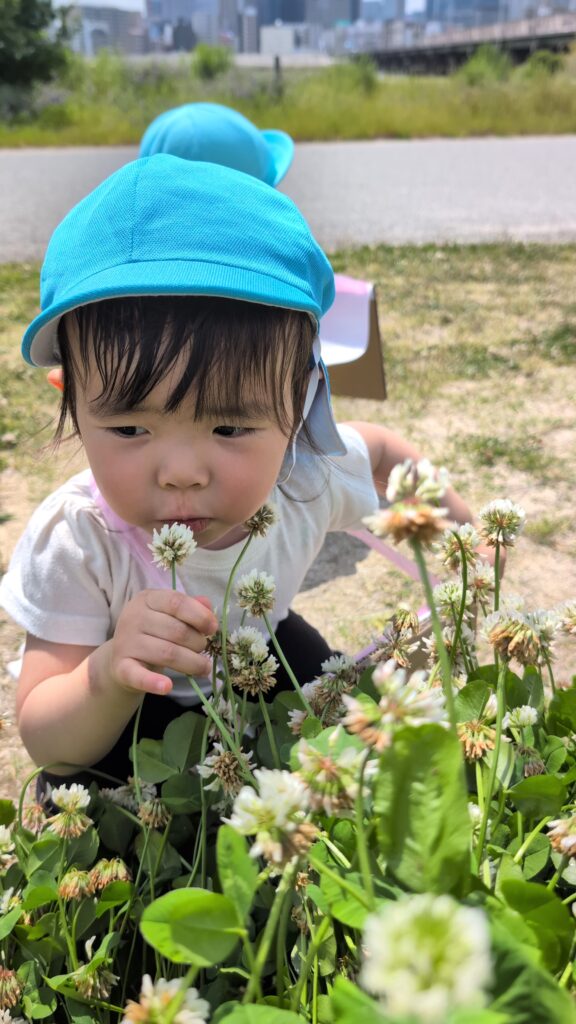春の草花を使って五感を育む製作活動　大阪　保育園　くじら保育園　202605-1