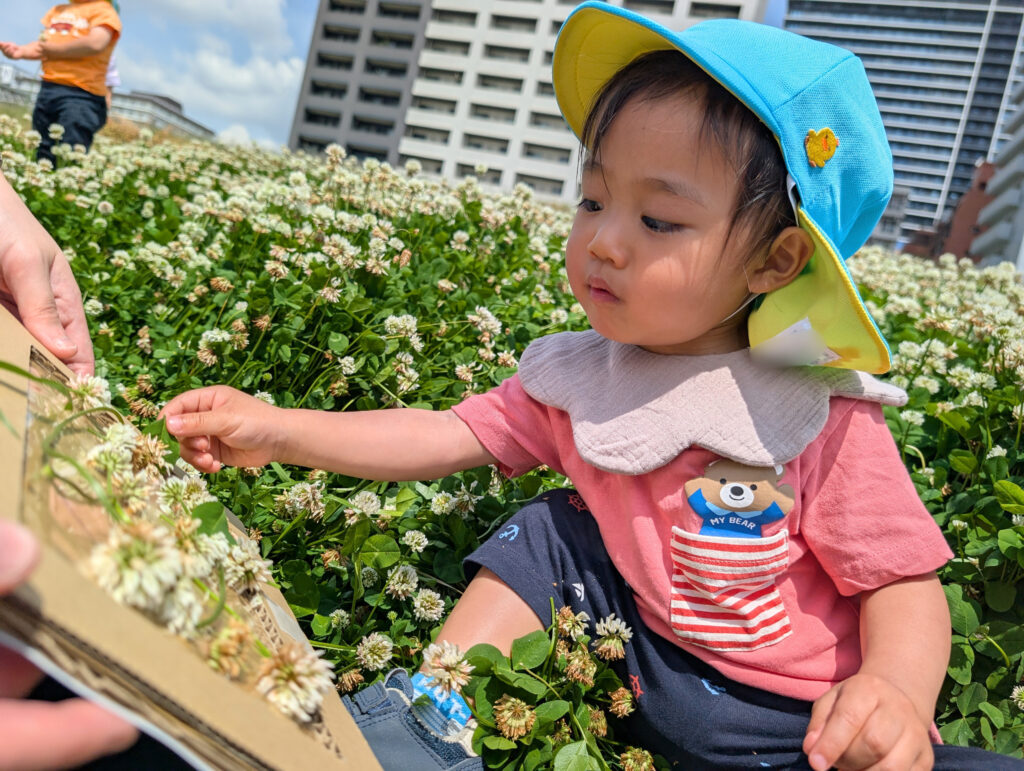 春の草花を使って五感を育む製作活動　大阪　保育園　くじら保育園　202605-2