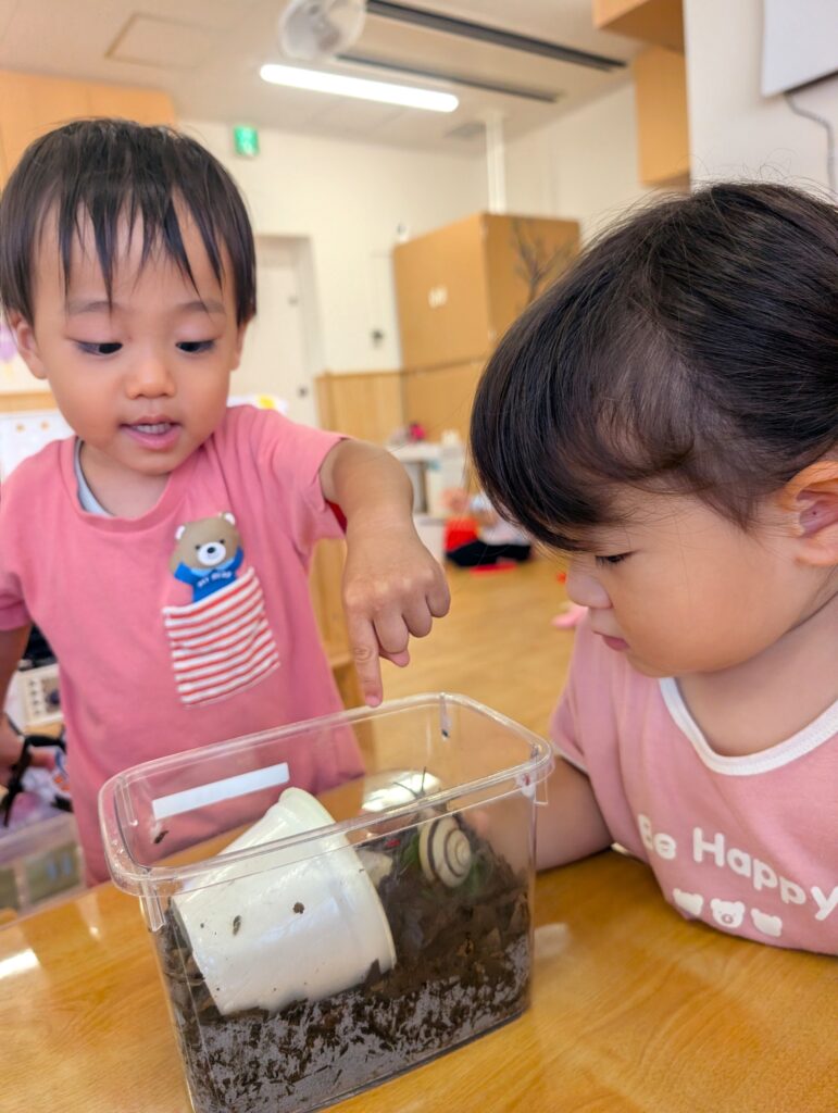 保育園の飼育体験 大阪 くじら保育園 202607-4