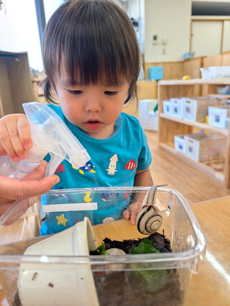 保育園の飼育体験 大阪 くじら保育園 202607-3