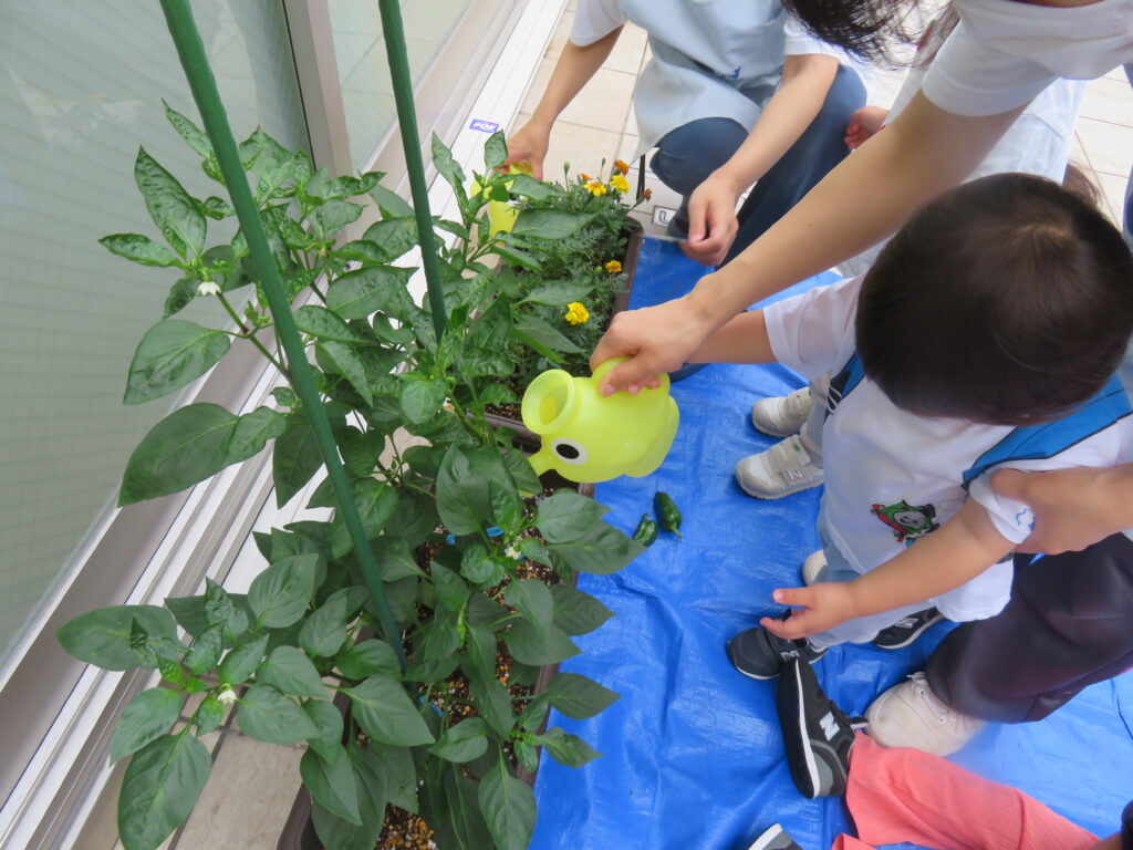 くじら保育園　淀屋橋園　紹介2024-12