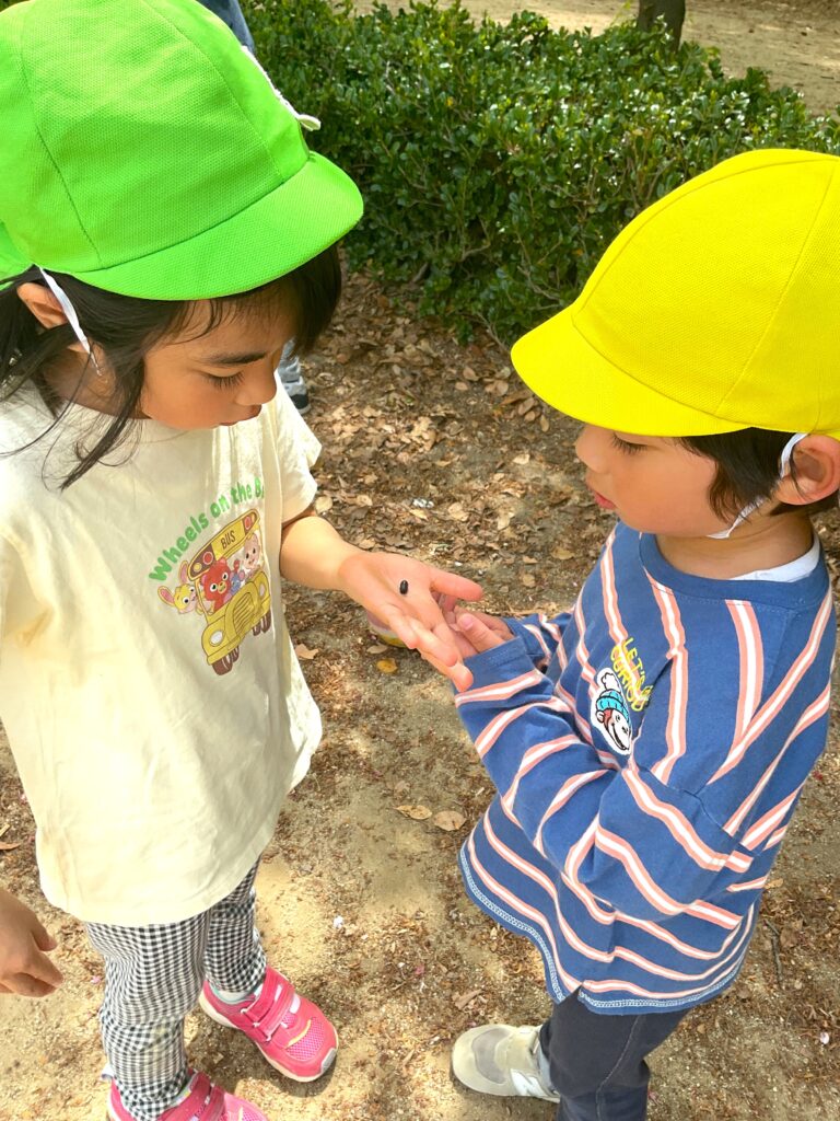 靱公園 お散歩 だんごむし くじら保育園 淀屋橋園 202505-2