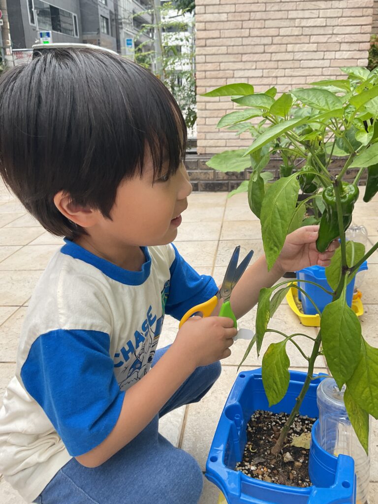 大阪　保育園　くじら保育園　淀屋橋　7