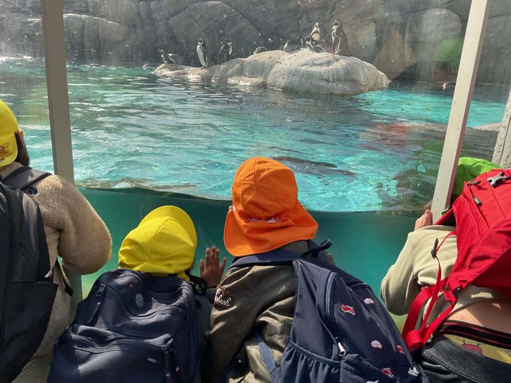 天王寺動物園へ秋の遠足　大阪　保育園　くじら保育園　202512-5