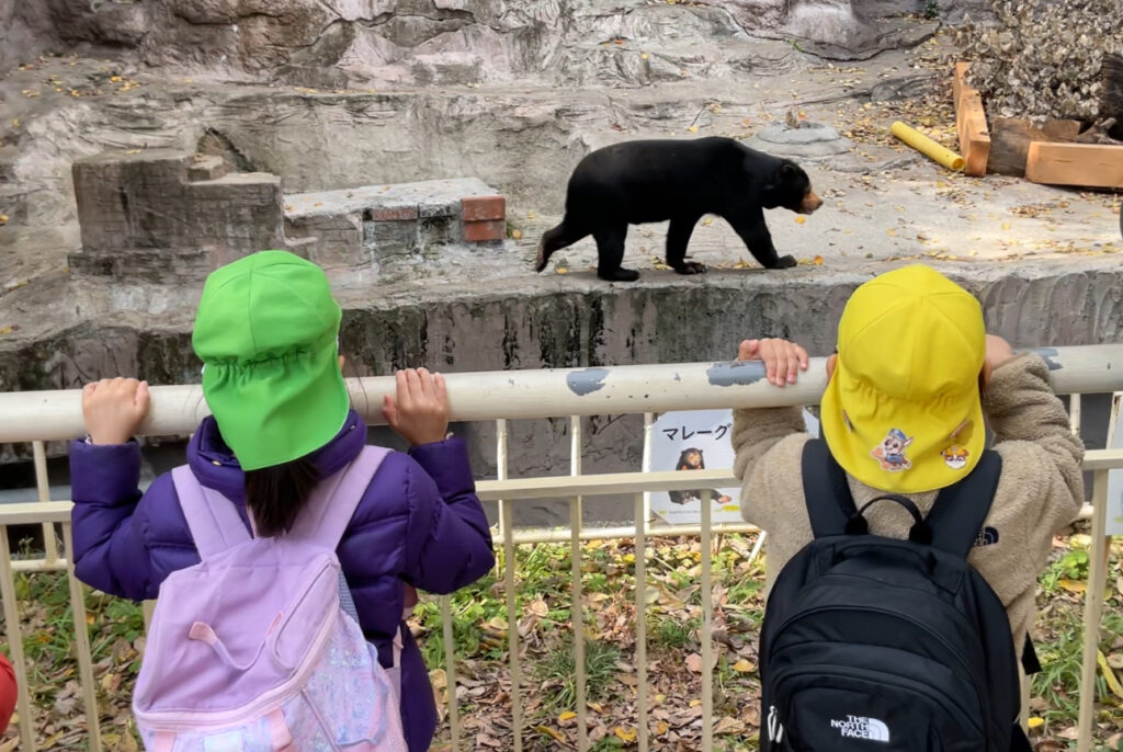 天王寺動物園へ秋の遠足　大阪　保育園　くじら保育園　202512-3