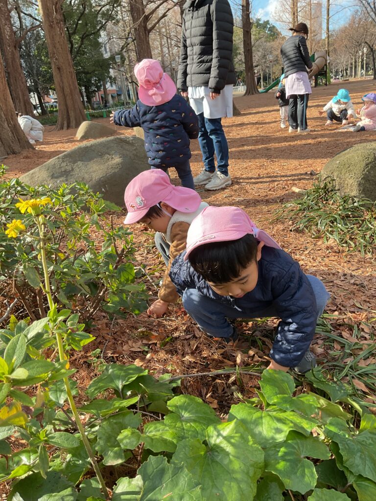 保育園のリズム遊び　大阪　保育園　くじら保育園　202601-3